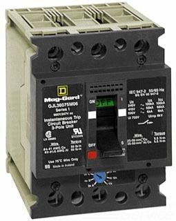 Square D / Schneider Electric GJL36015M03